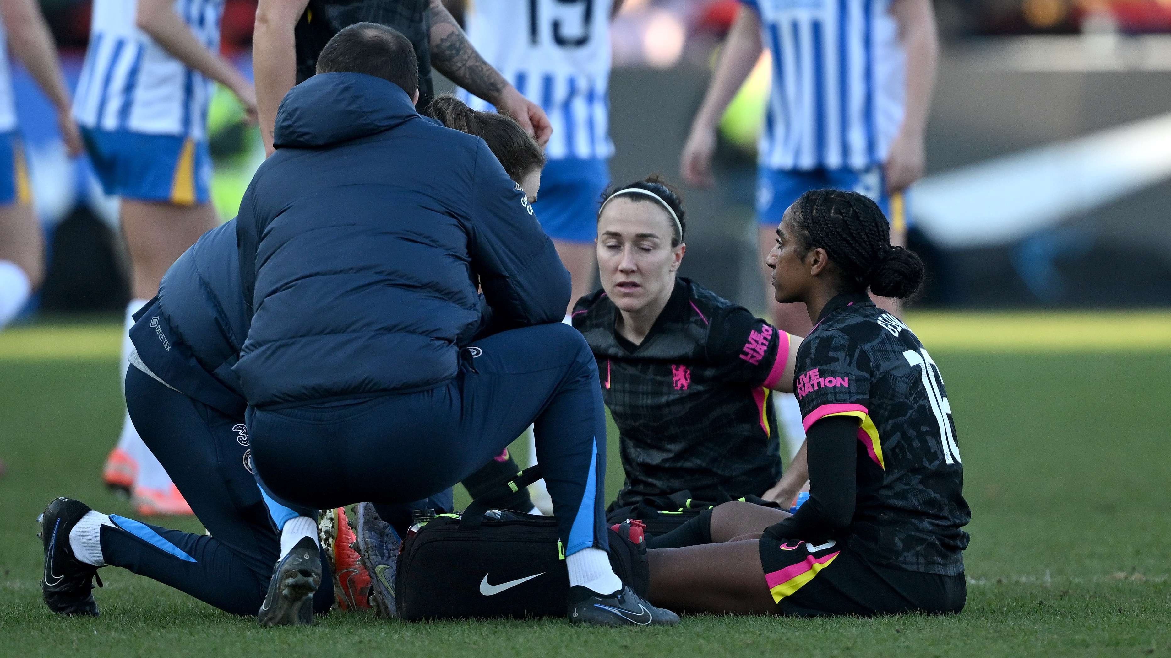 不仅提高了 不仅提高了